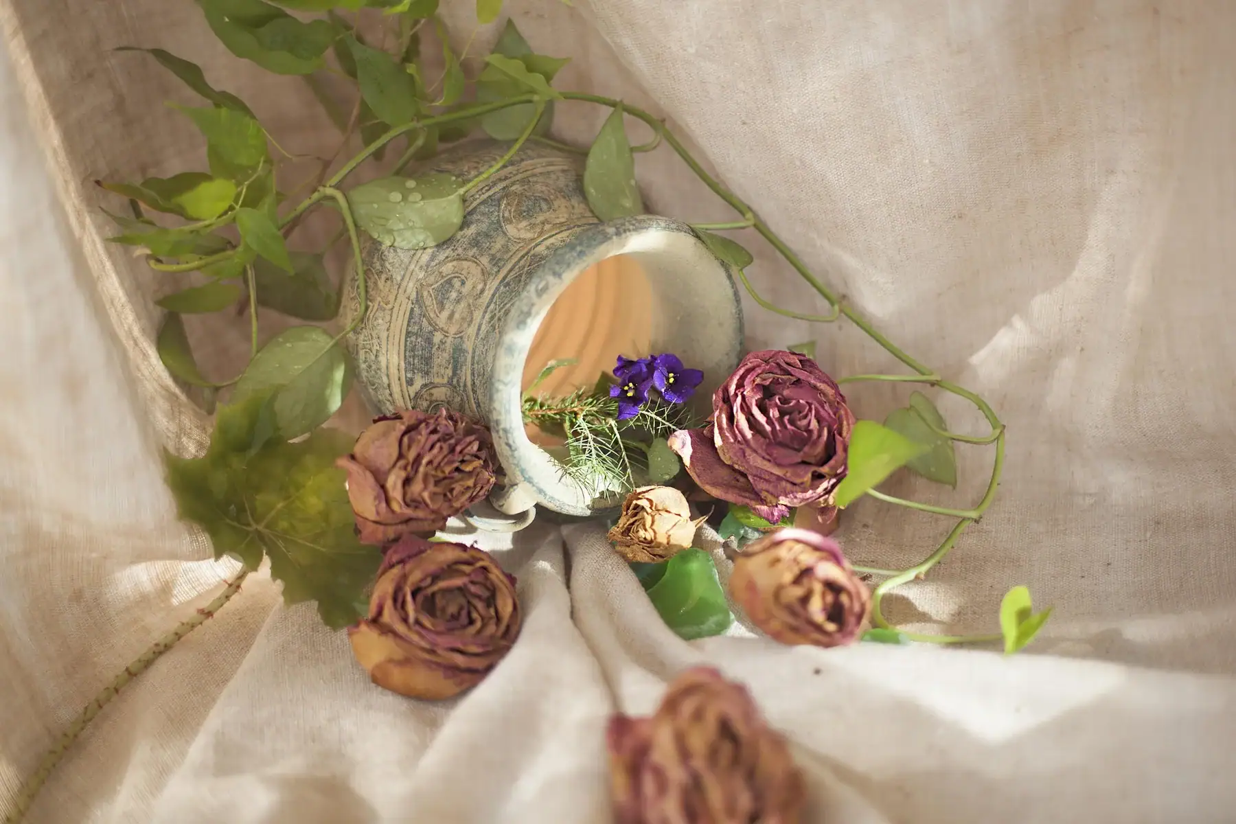 celebration of life ceremony ideas