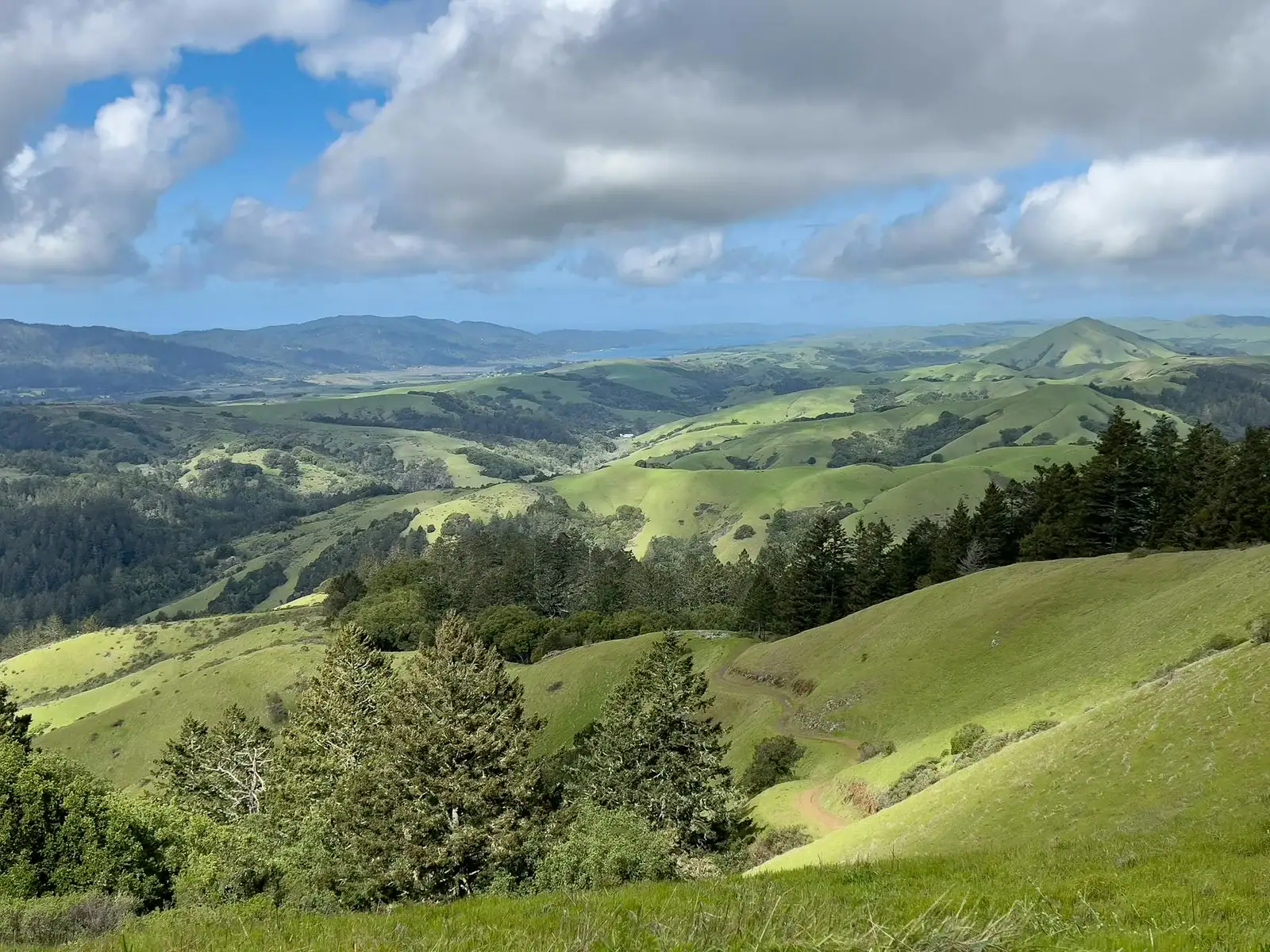 Ash Scattering — What You Need to Know